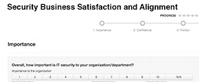 Security BSA Sample Survey thumbnail